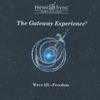 THE GATEWAY EXPERIENCE