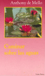 CAMINAR SOBRE LAS AGUAS