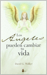ANGELES PUEDEN CAMBIAR TU VIDA, LOS (CARTON)