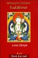 INTRODUCCION AL BUDDHISMO