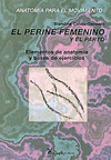 PERINE FEMENINO, EL
