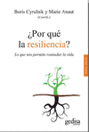 �POR QU� LA RESILIENCIA?